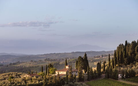 Agatea: Paesaggio, Sera, Larice, Shrubland, Chaparral, Sempreverde, Pine Famiglia
