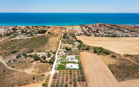 Villa Marzamemi: Giorno, Albero, Visione Globale, Zona Residenziale, Fotografia Aerea, Paesaggio, Urban Design, Lotto, Estate, Sobborgo