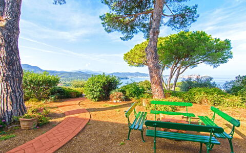 Villa Magazzini: Blu, Arbusto, Paesaggio, Giardino, Primavera, Landscaping, Giardino Botanico, Shade, Parco, Passerella