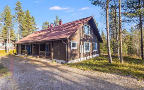 Marjarinne 8 a: Legna, Villetta, Log Cabin, Foresta, Capannone, Edifici Giardino, Larice, Woodland, Color Legno