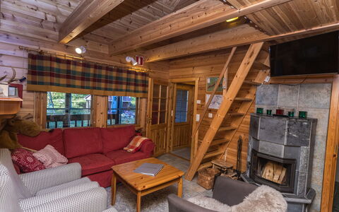Marjarinne 8 a: Legna, Villetta, Log Cabin, Foresta, Capannone, Edifici Giardino, Larice, Woodland, Color Legno