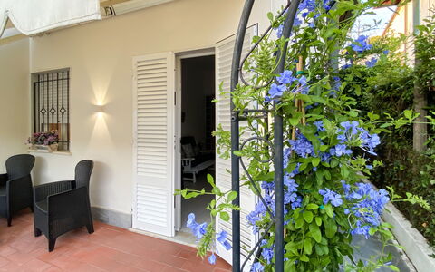 Casa Liliana Ac, Wifi, Forte Dei Marmi: Vaso Di Fiori, Pianta Della Casa, Shade, Mobili Da Esterno, Sedia, Porta A Casa, Portico, Tavolo Esterno, Balcone, Cortile