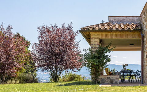 Poggio Padule: Paesaggio Naturale, Arbusto, Collina, Lotto, Prato, Giardino, Valle, Landscaping, Cresta