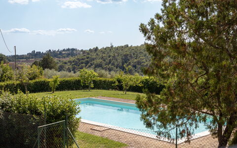 Il Pino Apartment: Piscina, Ricorrere, Shade, Giardino, Mobili Da Esterno, Eco Hotel, Landscaping, Backyard, Hacienda, Terme