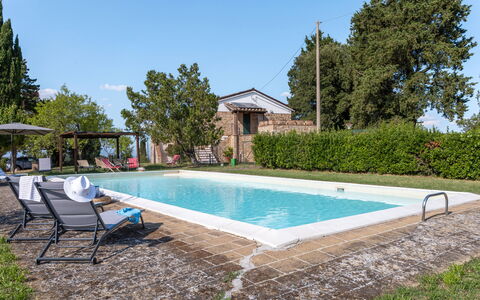 Il Pino Apartment: Piscina, Mobili Da Esterno, Estate, Backyard, Giardino, Hacienda, Shade, Agriturismo, Villa, Cortile
