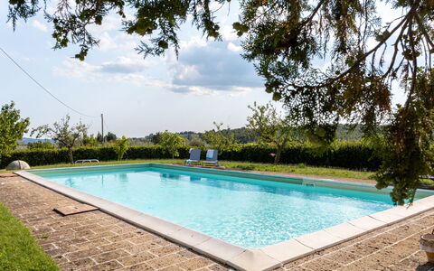 Il Pino Apartment: Piscina, Materiale Composito, Ricorrere, Giardino, Shade, Giochi D'Acqua, Landscaping, Eco Hotel, Mobili Da Esterno, Backyard