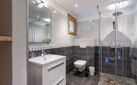 Peisey-Nancroix 101: Idraulico Fixture, Bagno, Pavimentazione, Interior Design, Lavello, Pavimento, Rubinetto, Lavandino Del Bagno, Idraulico, Soffitto