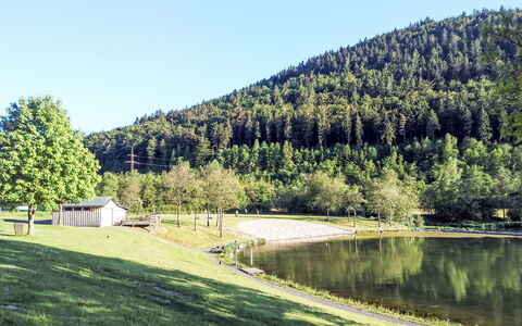 Ruhrtalblick: Albero, Geografia Montane, Paesaggio Naturale, Montagna, Collina, Highland, Banca, Lotto, Area Rurale, Hill Station