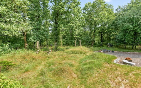 Lenya - 33Km from the Sea: Albero, Erba, Ambiente Naturale, Foglia, Vegetazione, Arbusto, Comunita 'Impianto, Foresta, Riserva Naturale