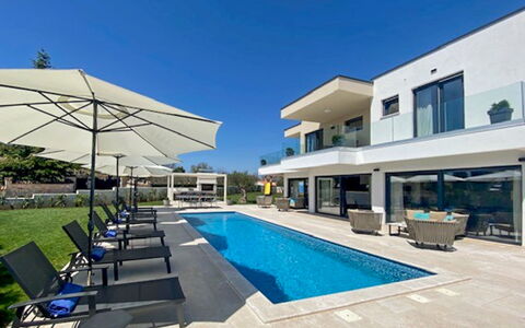Frani: Arbusto, Zona Residenziale, Portico, Giardino, Balcone, Shade, Mobili Da Esterno, Cortile, Sedia, Landscaping