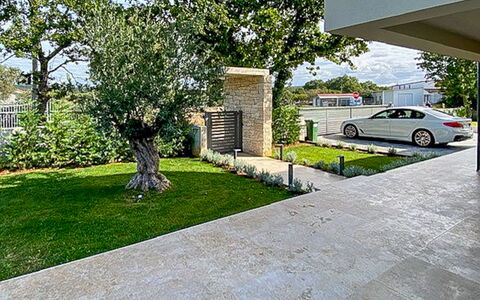Frani: Arbusto, Zona Residenziale, Portico, Giardino, Balcone, Shade, Mobili Da Esterno, Cortile, Sedia, Landscaping