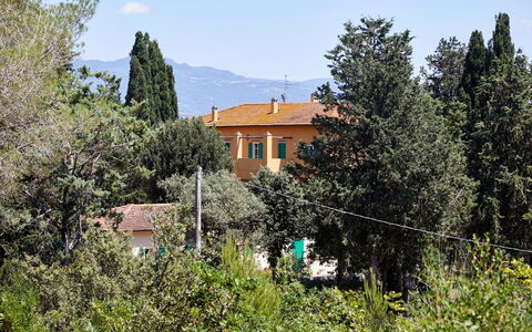 Poggio Cavallino Private Pool, Wifi, Maremma: Albero, Foglia, Arbusto, Casa, Larice, Sempreverde, Pine Famiglia