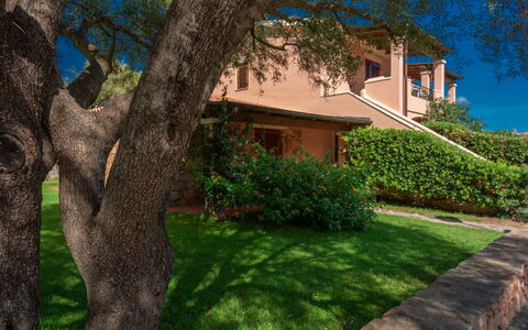San Teodoro Apartments: Arbusto, Giardino, Estate, Landscaping, Shade, Hacienda, Eco Hotel, Cortile, Villa, Agriturismo