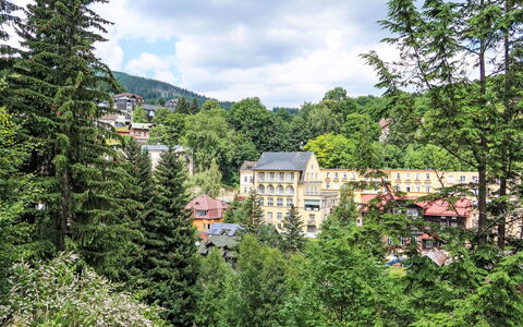 Švýcarský Dvůr Lodge: Albero, Arbusto, Zona Residenziale, Paesaggio, Casa, Larice, Hill Station, Sobborgo, Paesino Di Montagna