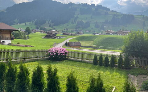 Flott: Casa, Tetto, Collina, Casa, Villetta, Lotto, Area Rurale, Hill Station, Prato, Giardino