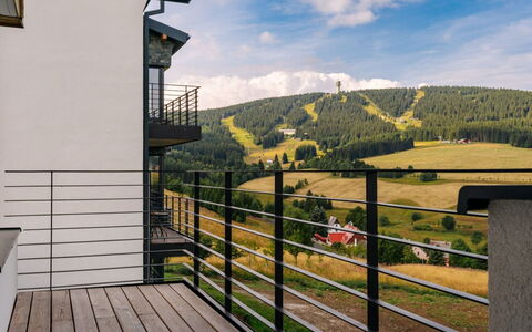 Loucna Pod Klínovcem 176: Corrimano, Balcone, Appartamento, Latifoglie, Le Scale, Illuminazione Diurna, Recinzione, Villa