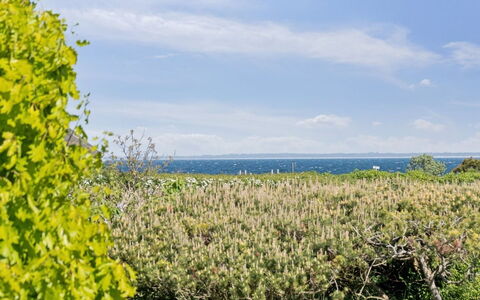 Sukie - 100M from the Sea: Vegetazione, Arbusto, Primavera, Villetta, Giardino, Shade, Backyard, Cortile, Sedia
