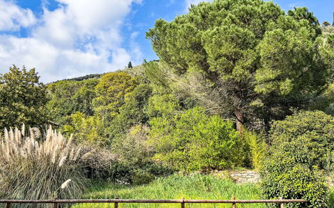 Alloggio:&nbsp;Giove 42.2