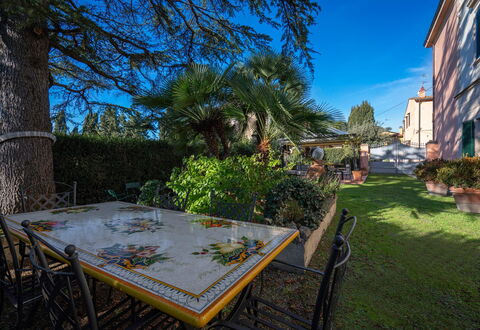 Ely Apartment In Villa, Wifi, Terricciola, Pisa: Arbusto, Giardino, Landscaping, Shade, Cortile, Hacienda, Vaso Di Fiori, Pianta Della Casa, Backyard