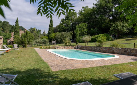 Montaione Country House Amarrante, Pool, Ac: Arbusto, Piscina, Giardino, Backyard, Shade, Prato, Landscaping, Estate, Cortile, Agriturismo