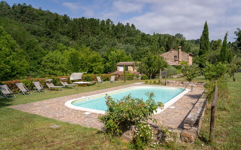 Montaione Country House Amarrante, Pool, Ac: Arbusto, Area Rurale, Estate, Agriturismo, Giardino, Villetta, Hacienda, Eco Hotel, Landscaping
