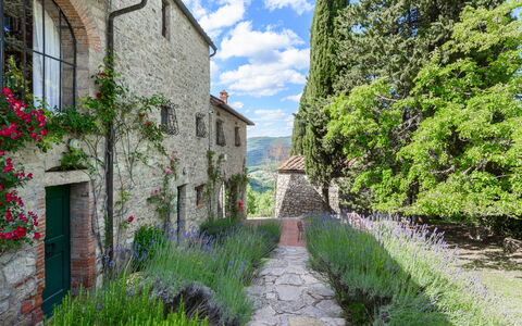 Villa Poggio La Croce: Arbusto, Giardino, Groundcover, Brick, Landscaping, Muro ​​Di Pietra, Giardino Botanico, Piantagione