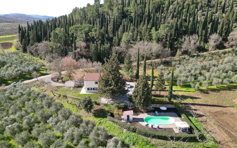 Il Cipresso: Arbusto, Paesaggio, Area Rurale, Comunita 'Impianto, Lotto, Estate, Hill Station, Foresta, Villetta, Piantagione