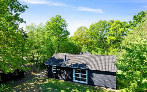 Tomine - from the Sea: Villetta, Edifici Giardino, Capannone, Giardino, Woodland, Shade, Log Cabin, Cortile, Agriturismo, Raccordo