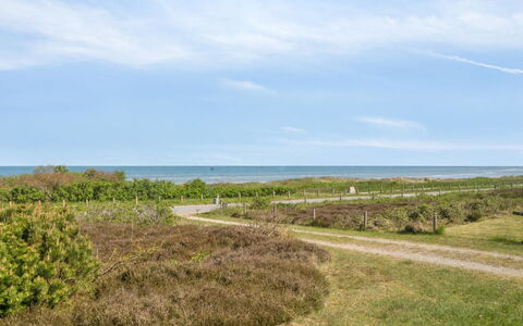 Suometar - 90M from the Sea: Erba, Pascolo, Lotto, Villetta, Area Rurale, Prato, Edifici Giardino, Giardino, Capannone