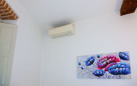Ca Du Checcu: Parete, Soffitto, Camera, Dipingere, Cornice, Gesso, Arte Moderna