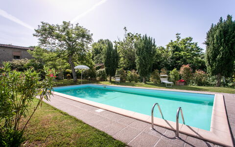 Villa Gelsi: Piscina, Giardino, Ricorrere, Backyard, Landscaping, Estate, Shade, Hacienda, Eco Hotel, Cortile