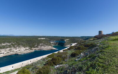 Bonifacio 201