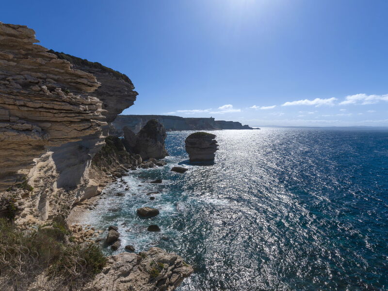 Bonifacio 201