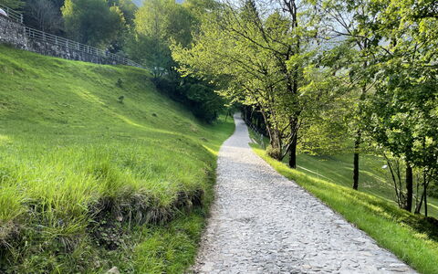 Miralago: Verde, Erba, Paesaggio Naturale, Paesaggio, Trail, Passerella, Groundcover, Strada Transitabile, Passo Di Montagna, Landscaping