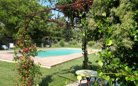 Appartamento Vele, Wifi, Near Perugia: Arbusto, Giardino, Shade, Primavera, Backyard, Cortile, Prato, Landscaping, Vaso Di Fiori