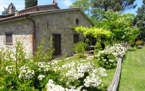 Appartamento Poggiolo, Wifi, Near Perugia: Arbusto, Giardino, Villetta, Primavera, Groundcover, Landscaping, Backyard, Cortile, Agriturismo