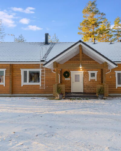 Näsinjoutsen
