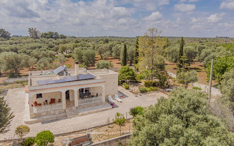 Villa Vera: Albero, Estate, Casa, Hacienda, Landscaping, Dimora, Villa, Driveway, Agriturismo