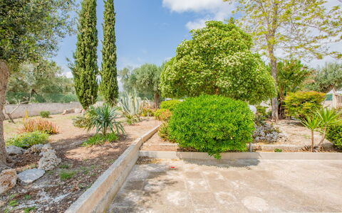 Villa Vera: Arbusto, Giardino, Comunita 'Impianto, Groundcover, Woody Impianto, Landscaping, Giardino Botanico, Passerella, Shade