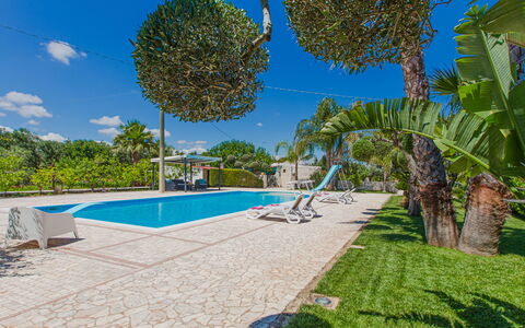 Trullo Poggio Con Piscina: Blu, Albero, Piscina, Ricorrere, Shade, Eco Hotel, Landscaping, Tempo Libero, Tropici