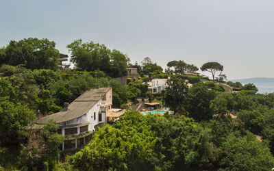 Miralago