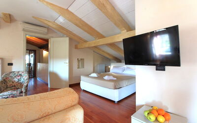 Alloggio:&nbsp;Terrace Apartment
