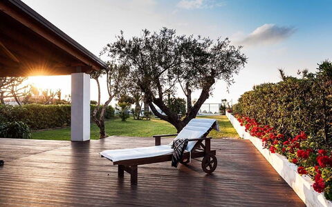Cala Marina: Shade, Giardino, Prato, Landscaping, Cortile, Mobili Da Esterno, Struttura Esterna, Eco Hotel, Backyard, Villa