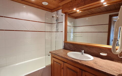 Alpina Lodge: Idraulico Fixture, Bagno, Pavimentazione, Legna, Interior Design, Rubinetto, Pavimento, Vasca Da Bagno, Idraulico, Lavello