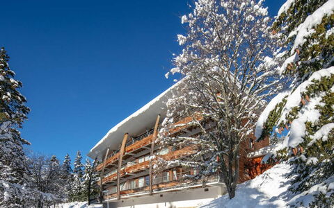 V du Bachat Arolles a: Inverno, Congelamento, Neve, Balcone, Larice, Pine Famiglia