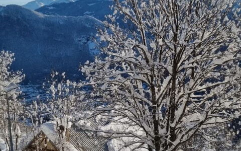 T du Morel a: Neve, Ramo, Inverno, Albero, Ramoscello, Congelamento, Hill Station, Catena Montuosa, Brina, Pendenza