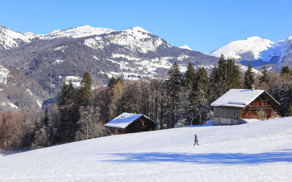 Grand Morillon