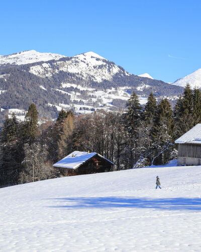 Grand Morillon