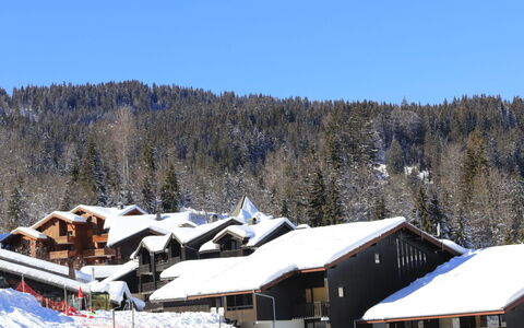 Les Sitelles: Neve, Inverno, Fenomeno Geologico, Congelamento, Pendenza, Hill Station, Stazione Sciistica, Piste, Geomorfologia Glaciale, Villetta