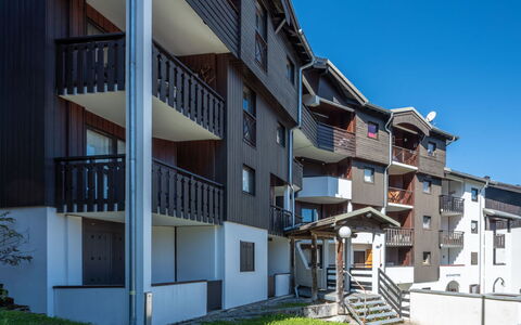 Grande Neige: Balcone, Inverno, Congelamento, Raccordo, Neve